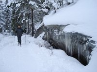vinter029