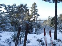 vinter038